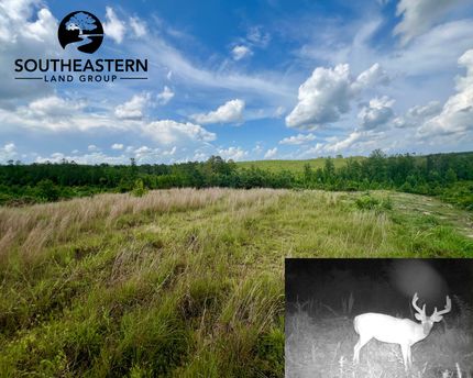 Recreational Property for sale in Lamar County, Alabama