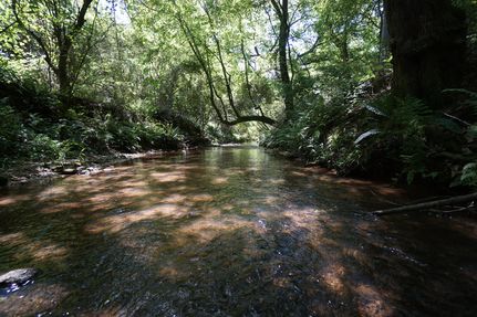 Property for sale in Henry County, Georgia