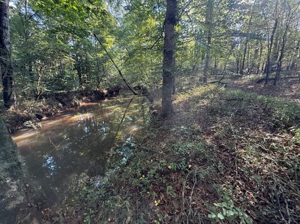 Recreational Property for sale in Coosa County, Alabama