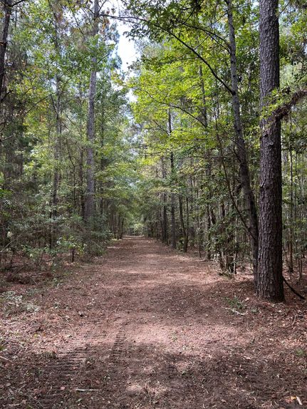 Property for sale in Conecuh County, Alabama