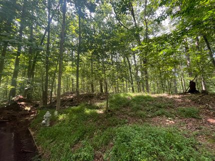 Timberland Property for sale in Fulton County, Georgia