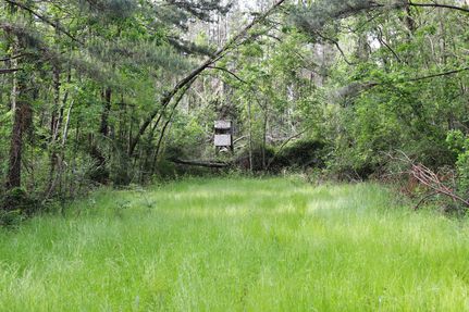 Property for sale in Tangipahoa Parish, Louisiana