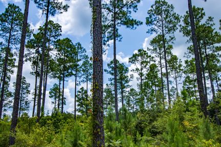 Residential Property for sale in Houston County, Alabama