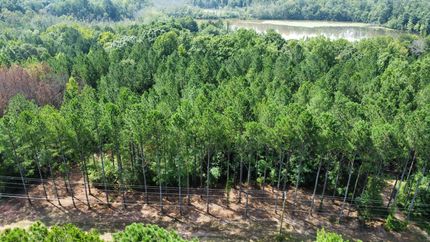 Waterfront Property in Troup County, Georgia