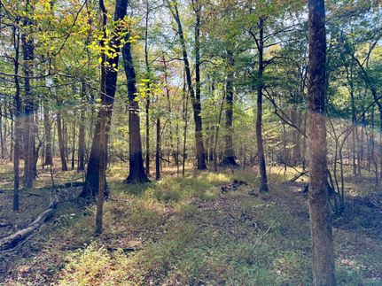 Undeveloped Land for sale in Tate County, Mississippi