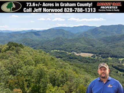 Undeveloped Land for sale in Graham County, North Carolina
