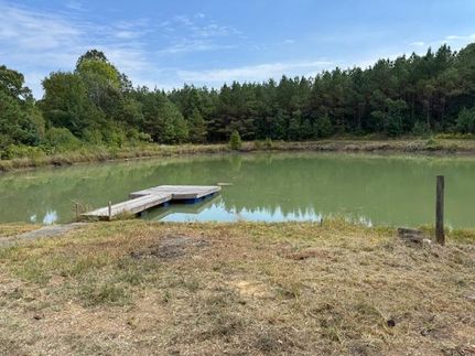 Hunting Land for sale in Hardeman County, Tennessee