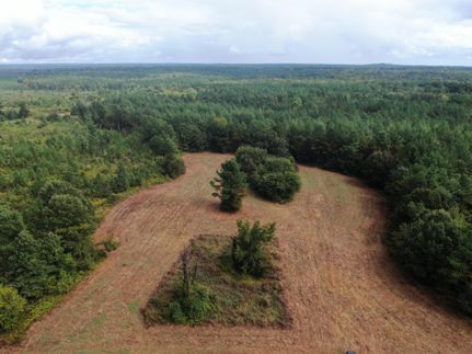 Undeveloped Land for sale in Marshall County, Mississippi