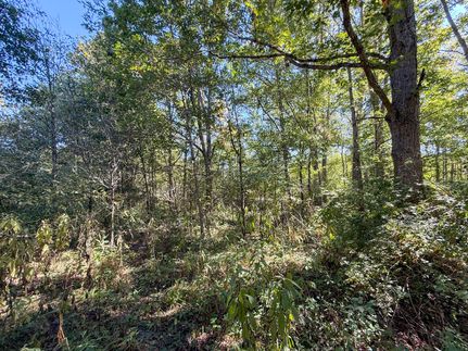 Farm Property for sale in Harrison County, Ohio