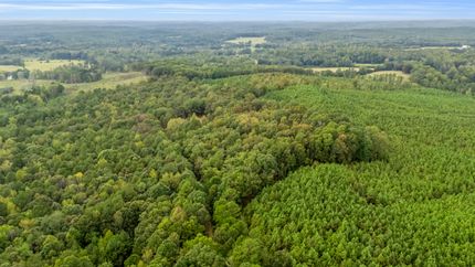 Undeveloped Land in Lamar County, Alabama