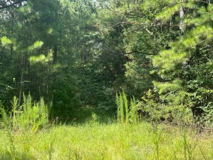 Property for sale in Jasper County, Mississippi