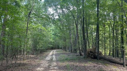 Undeveloped Land for sale in Jones County, Georgia
