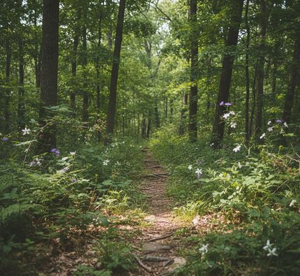 Property for sale in DeKalb County, Tennessee