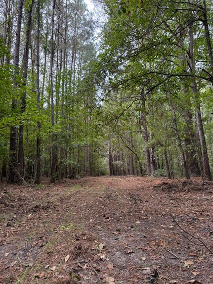 Ranch Property for sale in Orangeburg County, South Carolina