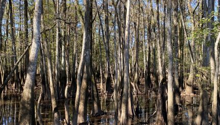 Property for sale in Baldwin County, Alabama