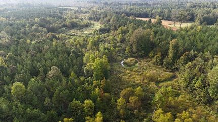 Property for sale in Pontotoc County, Mississippi