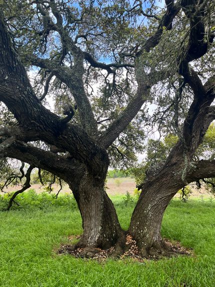 Recreational Property for sale in Coryell County, Texas