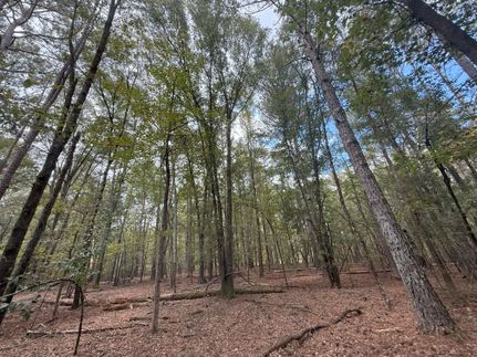 Property for sale in Jackson County, Georgia