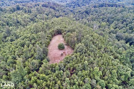 Property for sale in Lawrence County, Alabama