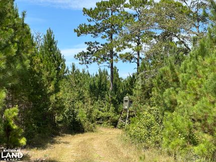Recreational Property for sale in Williamsburg County, South Carolina