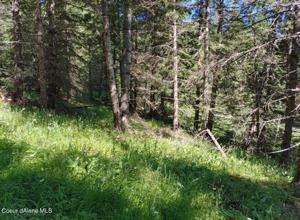 Property for sale in Benewah County, Idaho