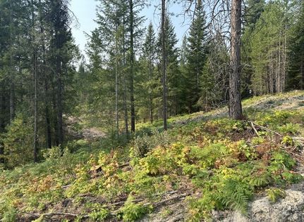 Undeveloped Land for sale in Bonner County, Idaho