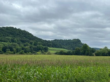 Property for sale in Vernon County, Wisconsin