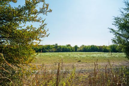 Farm Property for sale in Fannin County, Texas