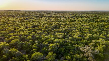 Ranch Property for sale in Bee County, Texas