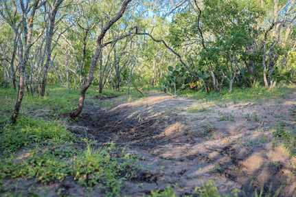 Recreational Property for sale in Bee County, Texas