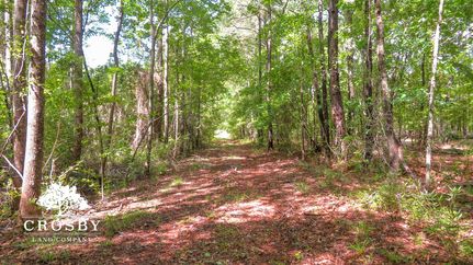 Farm Property for sale in Aiken County, South Carolina