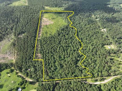 Farm Property in Polk County, Texas