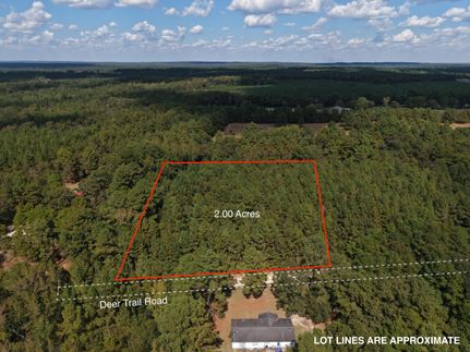 Hunting Land for sale in Hoke County, North Carolina