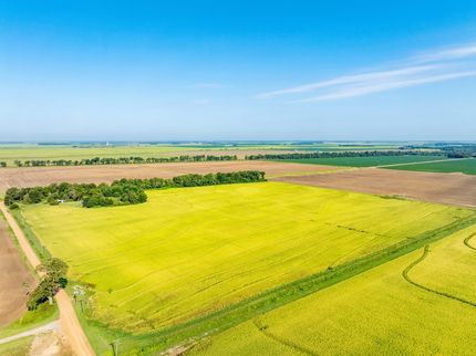 Undeveloped Land for sale in Poinsett County, Arkansas