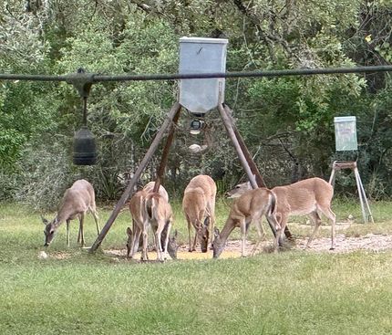 Ranch Property for sale in Bandera County, Texas