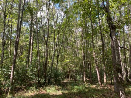 Property for sale in Bibb County, Alabama