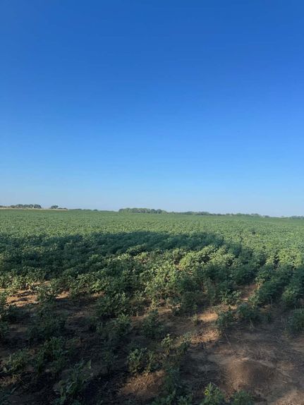 Property for sale in Ottawa County, Kansas