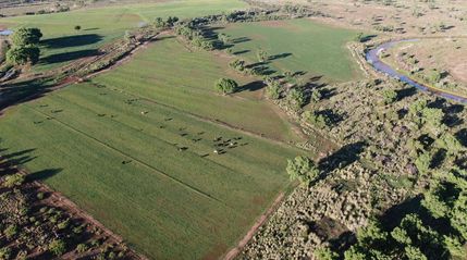 Farm Property for sale in Guadalupe County, New Mexico