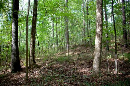 Property for sale in Hardeman County, Tennessee