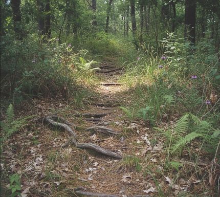 Residential Property for sale in Creek County, Oklahoma