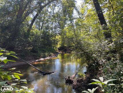 Hunting Land for sale in Lamar County, Alabama