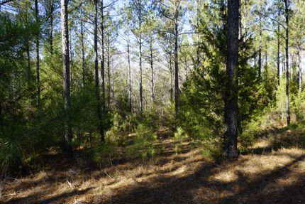 Property for sale in Chester County, South Carolina