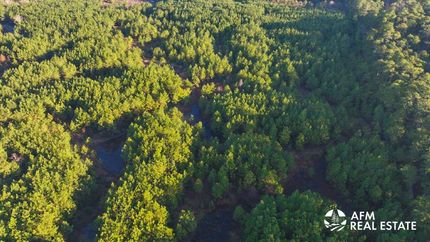 Farm Property for sale in Sabine County, Texas