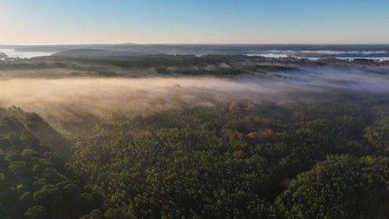 Farm Property for sale in Sabine County, Texas