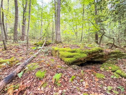 Timberland Property for sale in Cumberland County, Tennessee