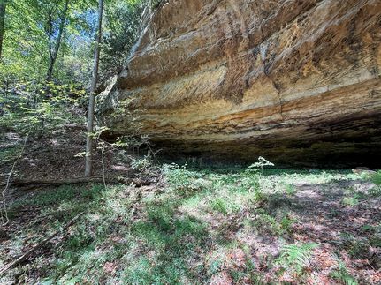 Timberland Property for sale in Rowan County, Kentucky