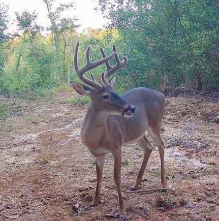 Property for sale in Warren County, Mississippi