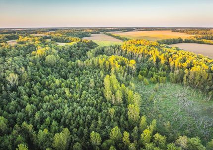 Residential Property for sale in Macoupin County, Illinois