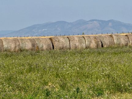 Property for sale in Fergus County, Montana