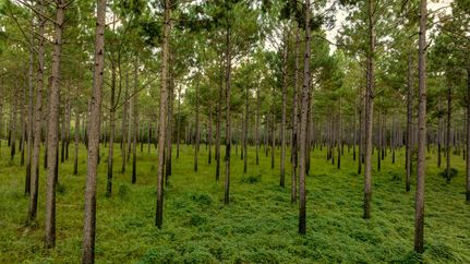 Recreational Property for sale in Calhoun County, Georgia